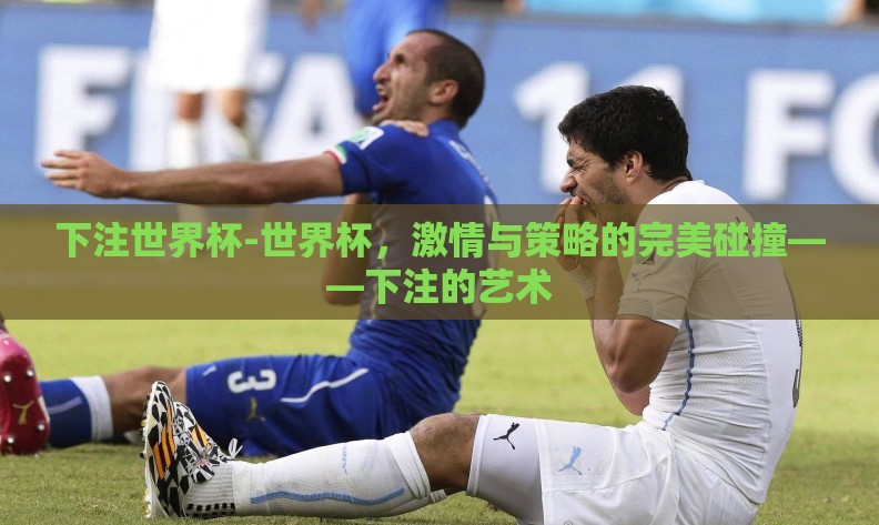 下注世界杯-世界杯，激情与策略的完美碰撞——下注的艺术