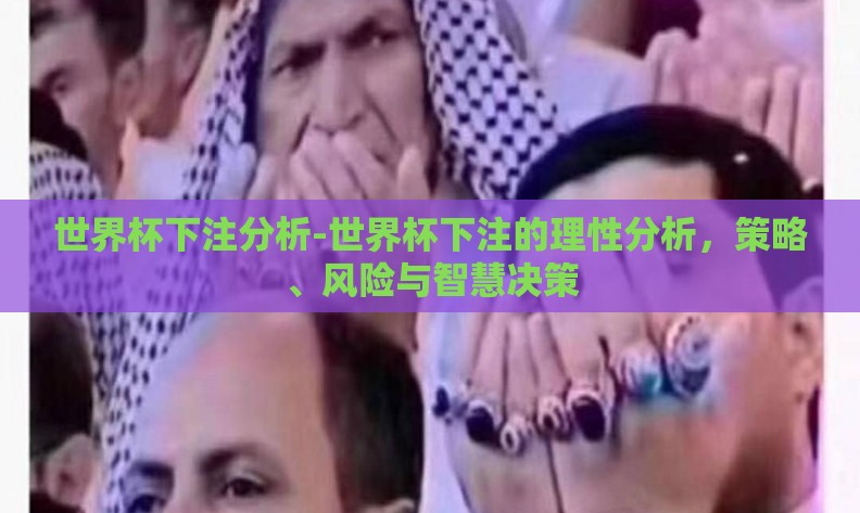 世界杯下注分析-世界杯下注的理性分析，策略、风险与智慧决策