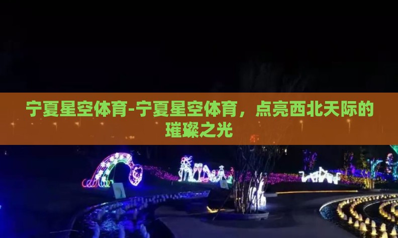 宁夏星空体育-宁夏星空体育，点亮西北天际的璀璨之光