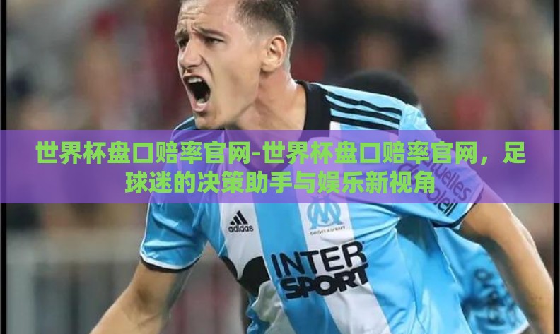 世界杯盘口赔率官网-世界杯盘口赔率官网，足球迷的决策助手与娱乐新视角