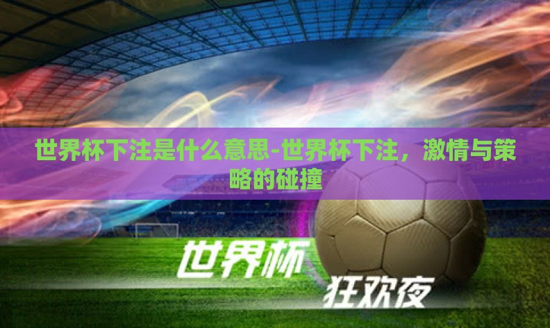 世界杯下注是什么意思-世界杯下注，激情与策略的碰撞
