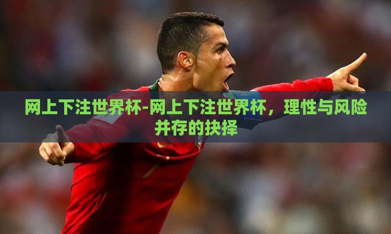 网上下注世界杯-网上下注世界杯，理性与风险并存的抉择