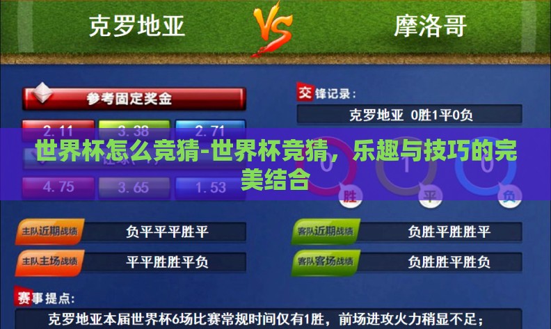 世界杯怎么竞猜-世界杯竞猜，乐趣与技巧的完美结合