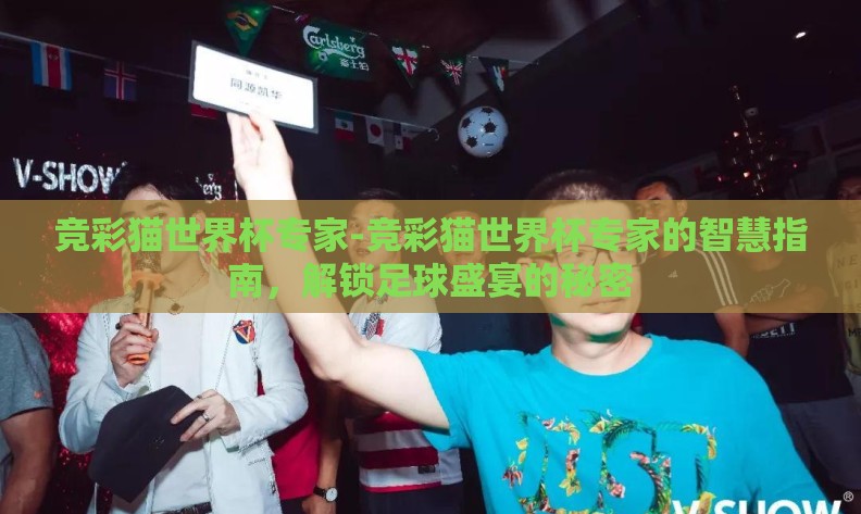 竞彩猫世界杯专家-竞彩猫世界杯专家的智慧指南，解锁足球盛宴的秘密