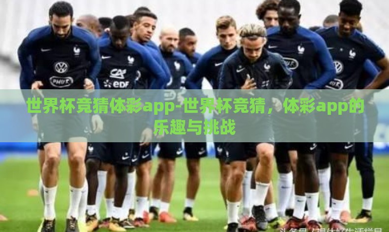 世界杯竞猜体彩app-世界杯竞猜,体彩app的乐趣与挑战 世界杯竞猜体彩app-世界杯竞猜,体彩app的乐趣与挑战