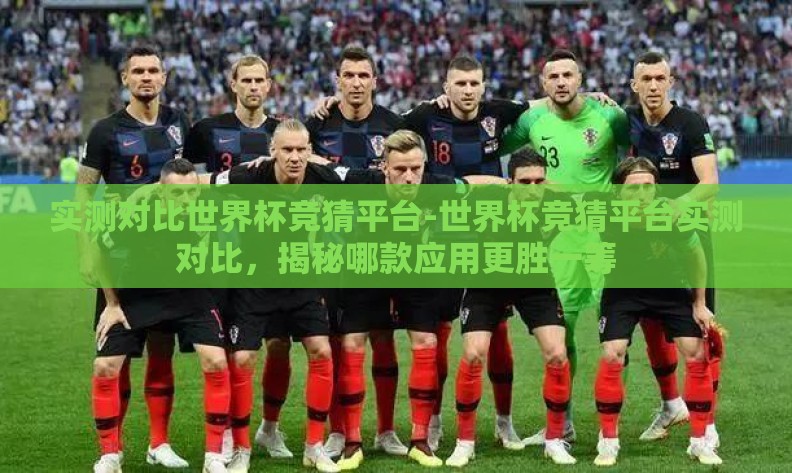 实测对比世界杯竞猜平台-世界杯竞猜平台实测对比，揭秘哪款应用更胜一筹