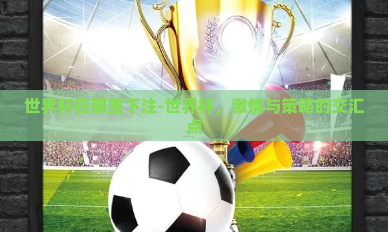世界杯在那里下注-世界杯，激情与策略的交汇点