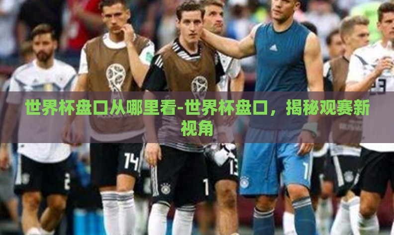世界杯盘口从哪里看-世界杯盘口，揭秘观赛新视角