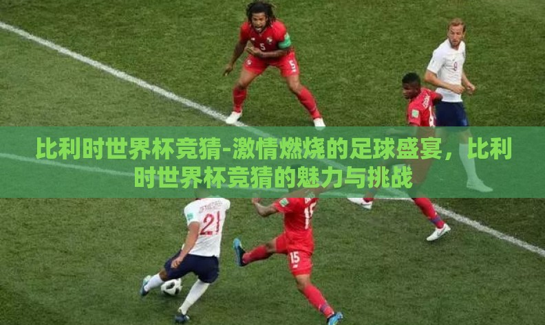 比利时世界杯竞猜-激情燃烧的足球盛宴，比利时世界杯竞猜的魅力与挑战