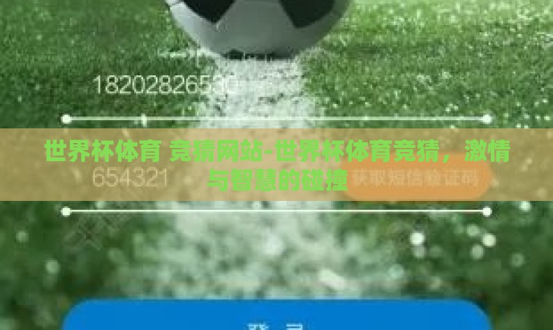 世界杯体育 竞猜网站-世界杯体育竞猜，激情与智慧的碰撞