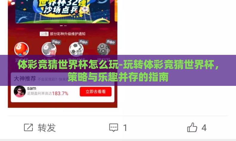 体彩竞猜世界杯怎么玩-玩转体彩竞猜世界杯，策略与乐趣并存的指南