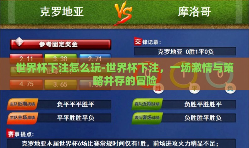 世界杯下注怎么玩-世界杯下注，一场激情与策略并存的冒险