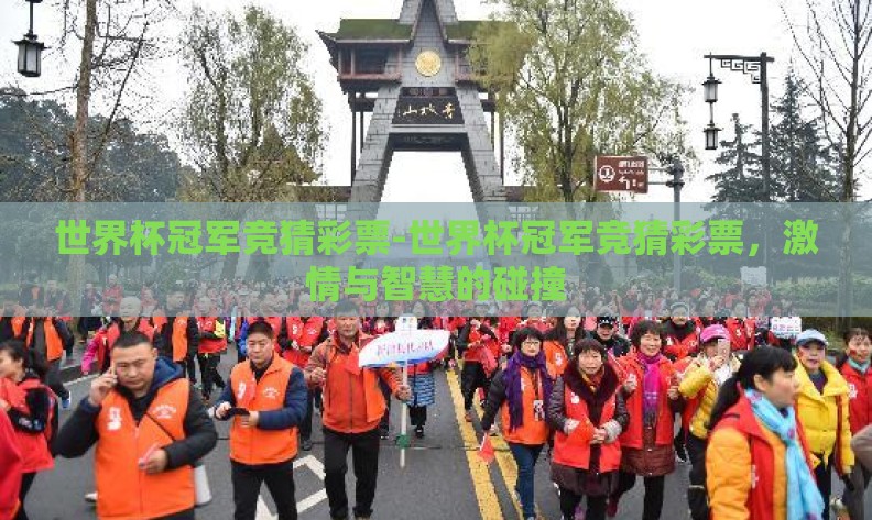 世界杯冠军竞猜彩票-世界杯冠军竞猜彩票，激情与智慧的碰撞