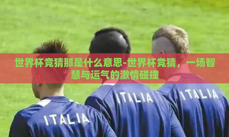 世界杯竞猜那是什么意思-世界杯竞猜，一场智慧与运气的激情碰撞