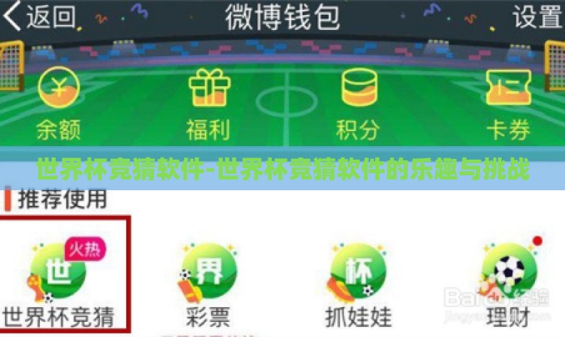 世界杯竞猜软件-世界杯竞猜软件的乐趣与挑战