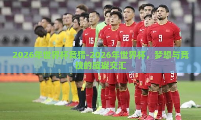 2026年世界杯竞猜-2026年世界杯，梦想与竞技的璀璨交汇