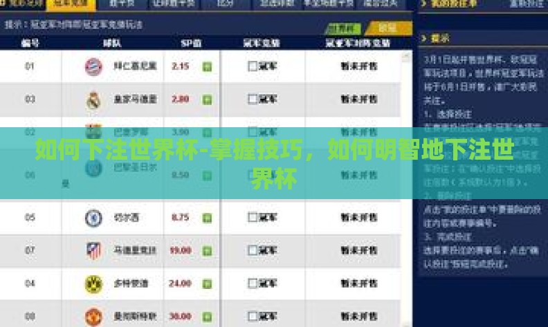 如何下注世界杯-掌握技巧，如何明智地下注世界杯