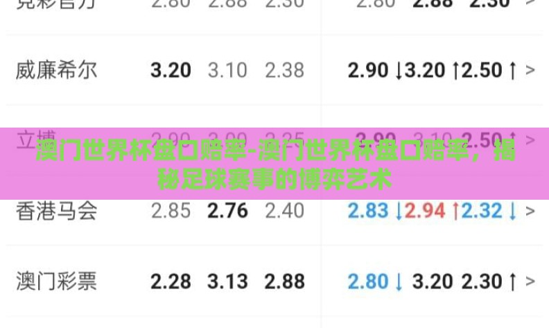 澳门世界杯盘口赔率-澳门世界杯盘口赔率，揭秘足球赛事的博弈艺术