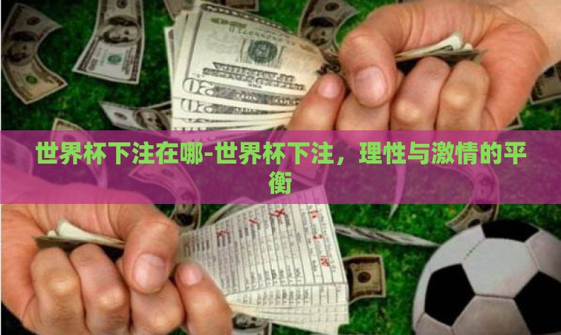 世界杯下注在哪-世界杯下注，理性与激情的平衡