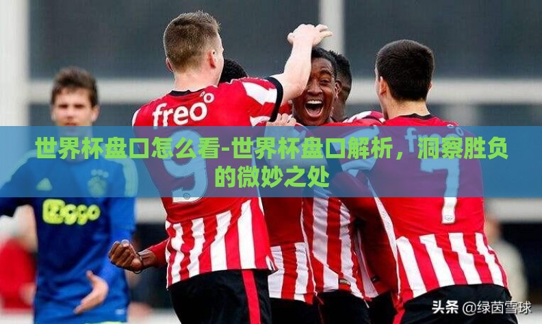 世界杯盘口怎么看-世界杯盘口解析，洞察胜负的微妙之处