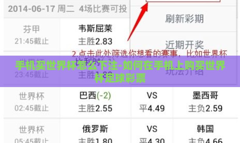 手机买世界杯怎么下注-如何在手机上购买世界杯足球彩票