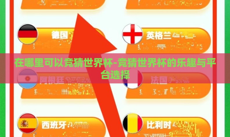 在哪里可以竞猜世界杯-竞猜世界杯的乐趣与平台选择