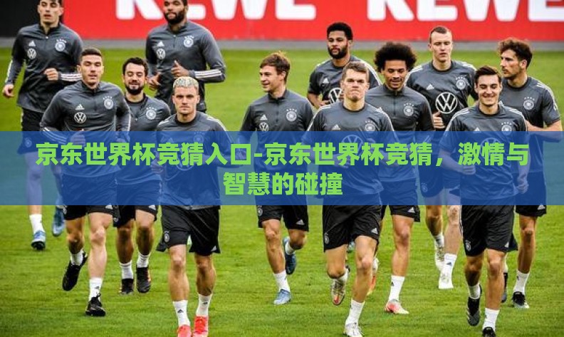 京东世界杯竞猜入口-京东世界杯竞猜，激情与智慧的碰撞